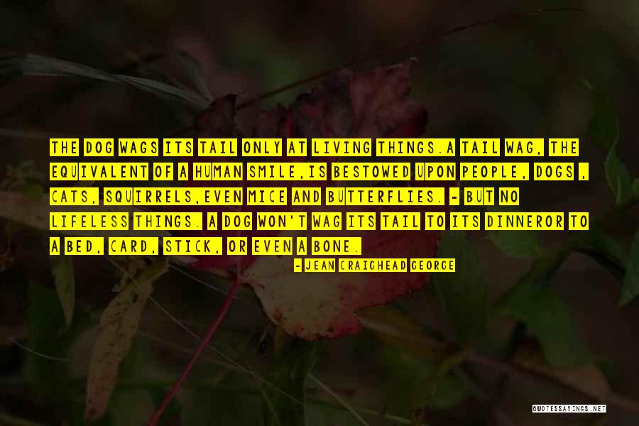 Dog With Stick Quotes By Jean Craighead George Dog With Stick Quotes By Jean Craighead George
