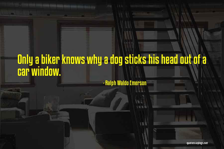 Dog With Sticks Quotes By Ralph Waldo Emerson Dog With Sticks Quotes By Ralph Waldo Emerson
