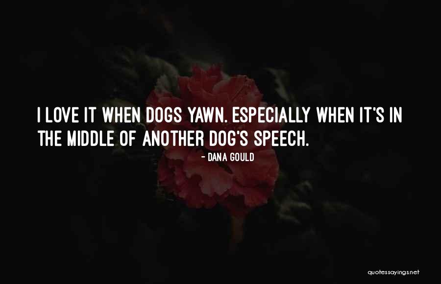 Dog Yawn Quotes By Dana Gould Dog Yawn Quotes By Dana Gould