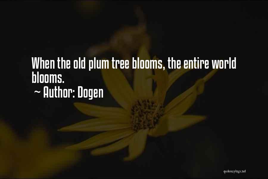 Dogen Quotes 1270275