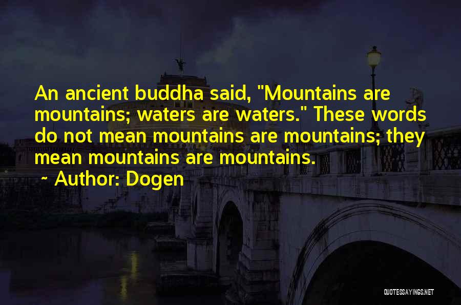 Dogen Quotes 310714