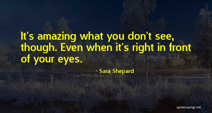 Dogfighting Maneuvers Quotes By Sara Shepard Dogfighting Maneuvers Quotes By Sara Shepard