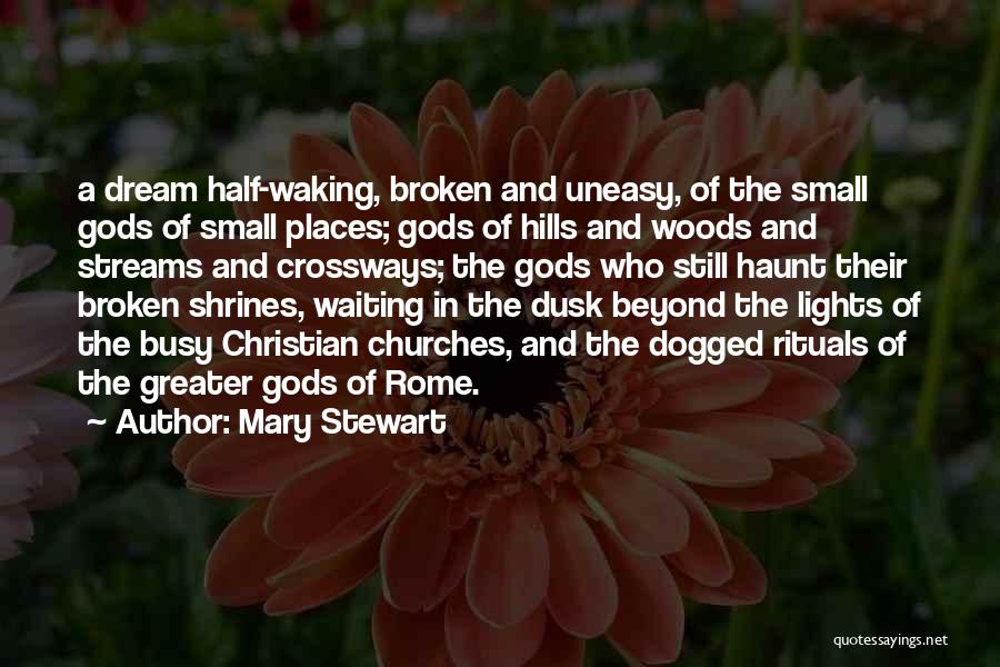 Dogged Quotes By Mary Stewart