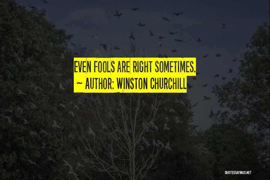 Doggish Quotes By Winston Churchill