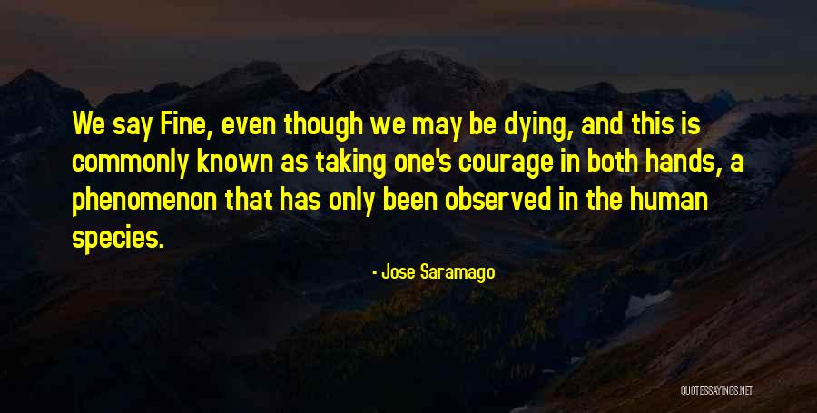 Dogmas Def Quotes By Jose Saramago Dogmas Def Quotes By Jose Saramago