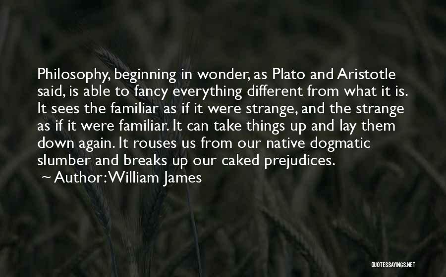 Dogmatic Slumber Quotes By William James