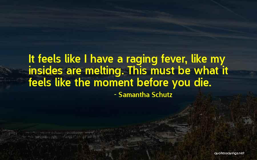 Dogpile Browser Quotes By Samantha Schutz Dogpile Browser Quotes By Samantha Schutz