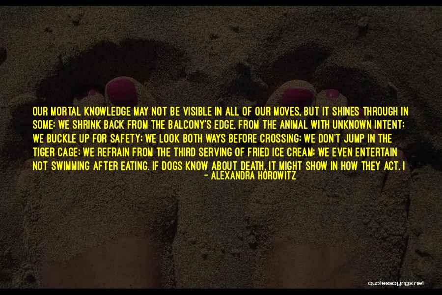 Dogs After Death Quotes By Alexandra Horowitz Dogs After Death Quotes By Alexandra Horowitz