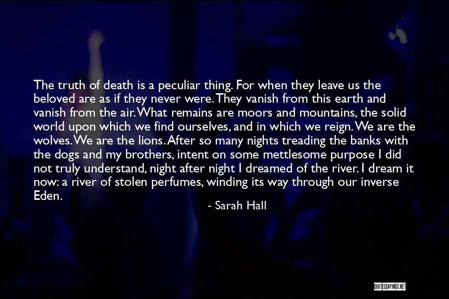 Dogs After Death Quotes By Sarah Hall Dogs After Death Quotes By Sarah Hall