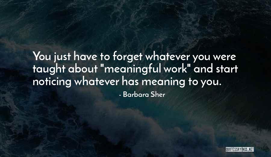 Dogs Always Loving You Quotes By Barbara Sher