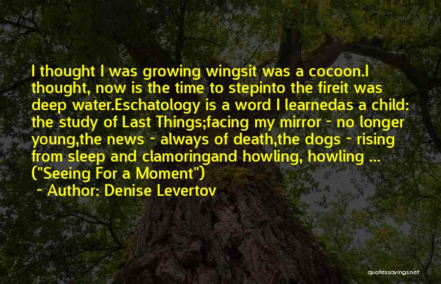 Dogs And Death Quotes By Denise Levertov