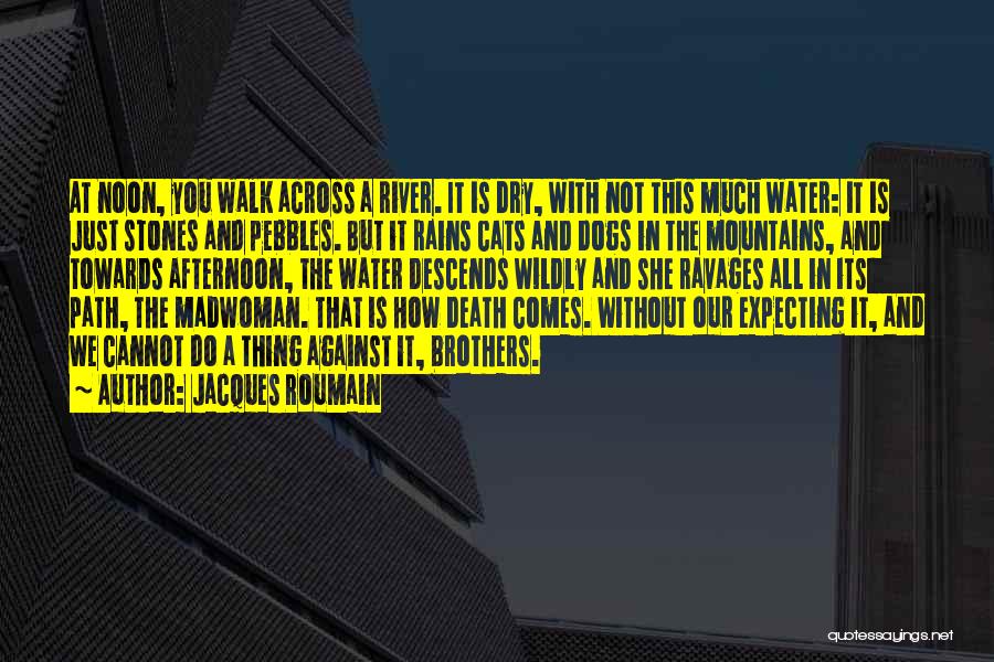 Dogs And Death Quotes By Jacques Roumain