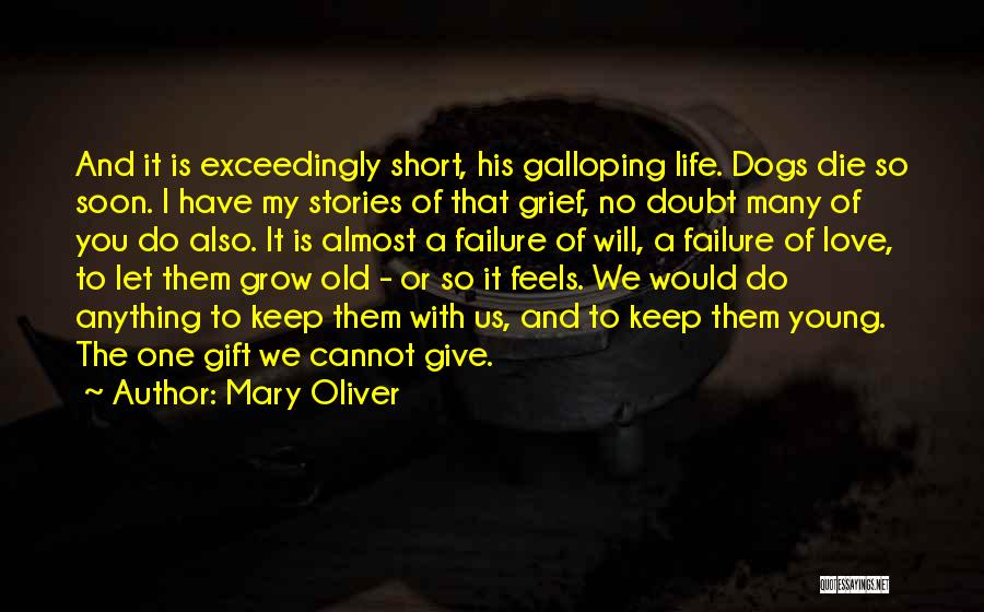 Dogs And Death Quotes By Mary Oliver