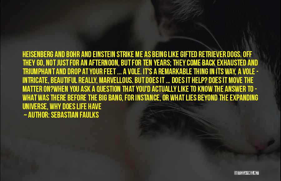 Dogs And Death Quotes By Sebastian Faulks