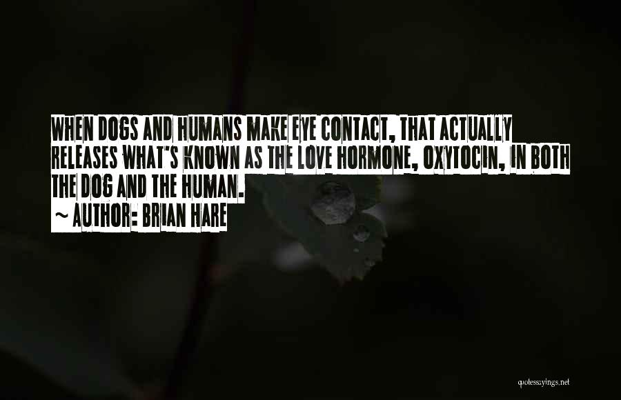 Dogs And Humans Quotes By Brian Hare