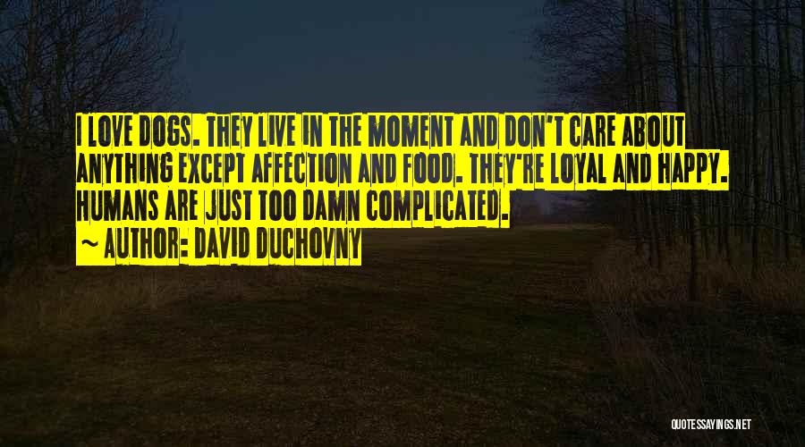 Dogs And Humans Quotes By David Duchovny