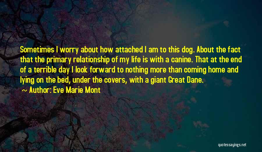 Dogs And Humans Quotes By Eve Marie Mont