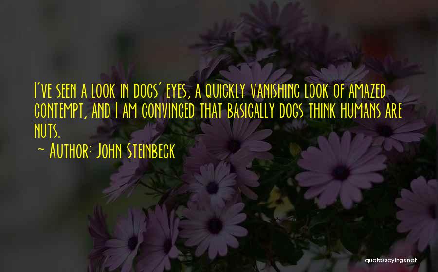 Dogs And Humans Quotes By John Steinbeck
