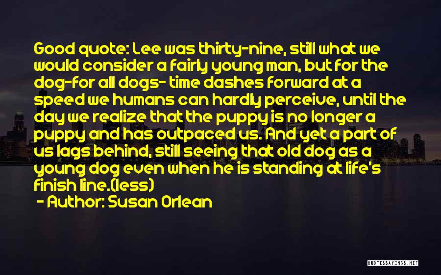 Dogs And Humans Quotes By Susan Orlean