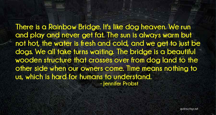 Dogs And Owners Quotes By Jennifer Probst