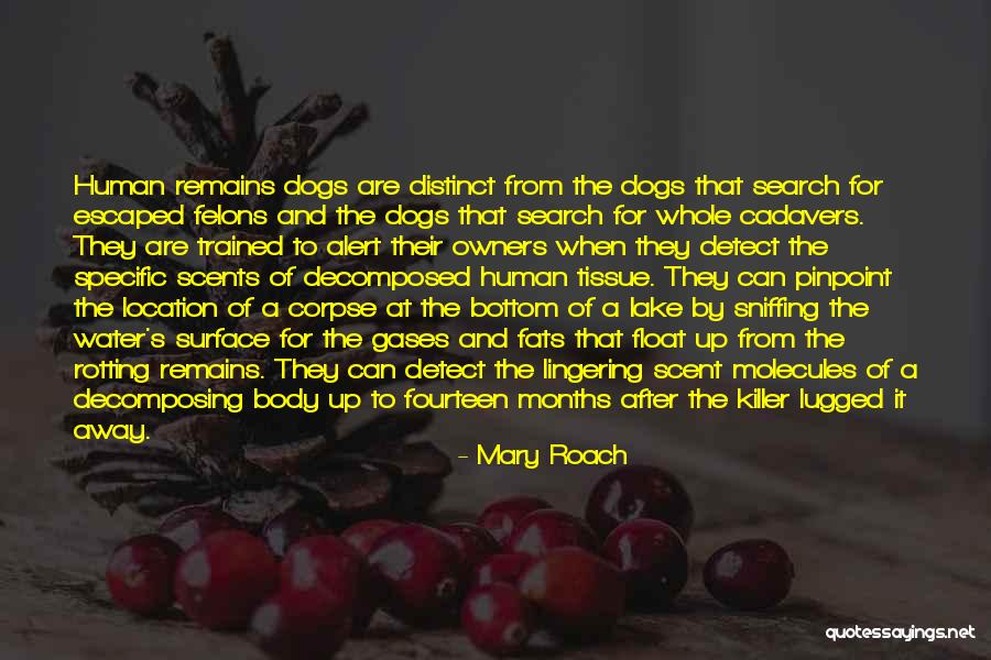 Dogs And Owners Quotes By Mary Roach Dogs And Owners Quotes By Mary Roach