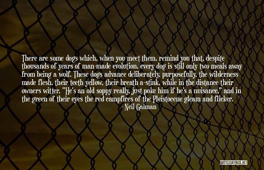 Dogs And Owners Quotes By Neil Gaiman Dogs And Owners Quotes By Neil Gaiman