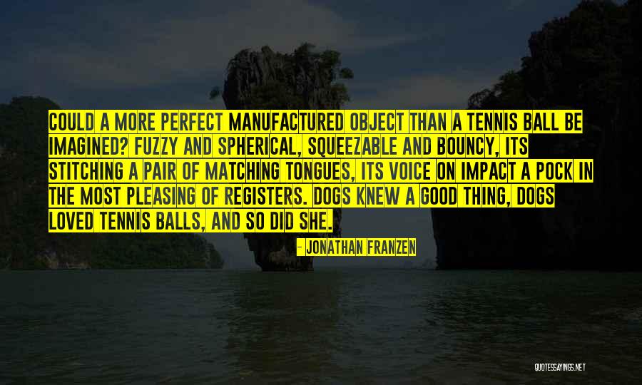 Dogs And Tennis Balls Quotes By Jonathan Franzen