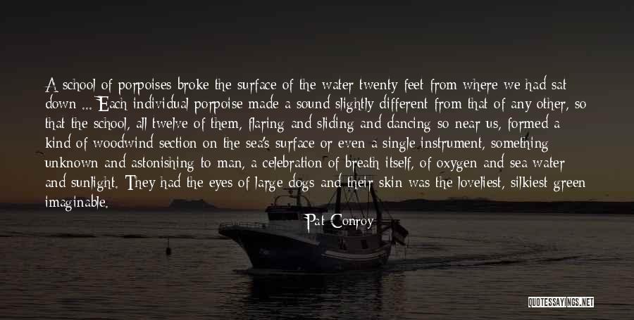 Dogs And The Sea Quotes By Pat Conroy