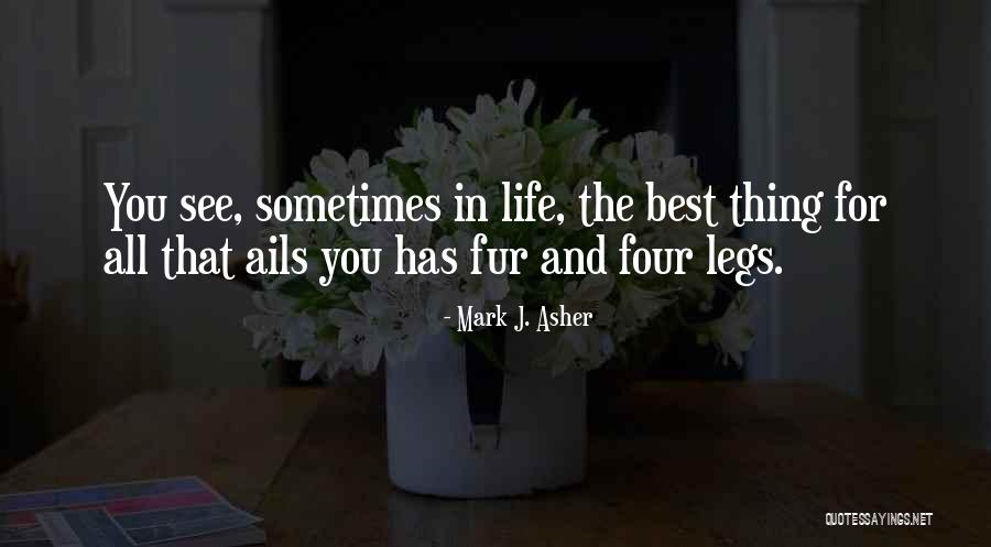 Dogs And Their Loyalty Quotes By Mark J. Asher Dogs And Their Loyalty Quotes By Mark J. Asher