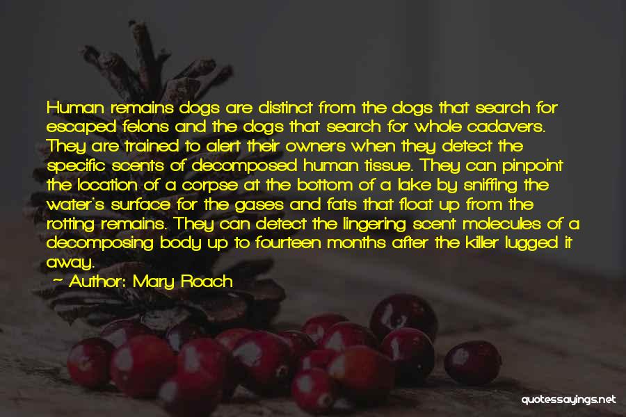 Dogs And Their Owners Quotes By Mary Roach