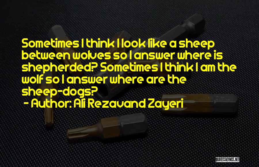 Dogs And Wolves Quotes By Ali Rezavand Zayeri