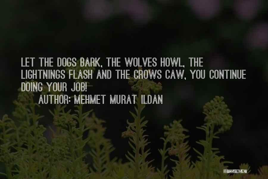 Dogs And Wolves Quotes By Mehmet Murat Ildan