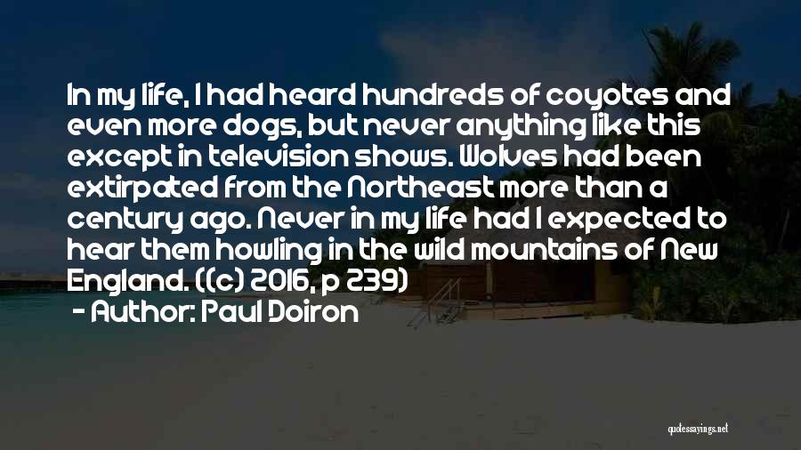 Dogs And Wolves Quotes By Paul Doiron