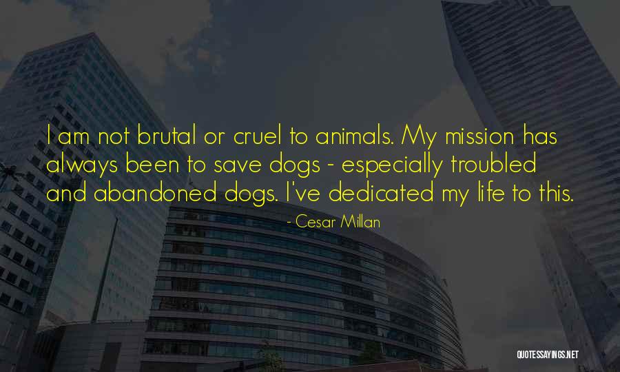 Dogs Are Always There For You Quotes By Cesar Millan