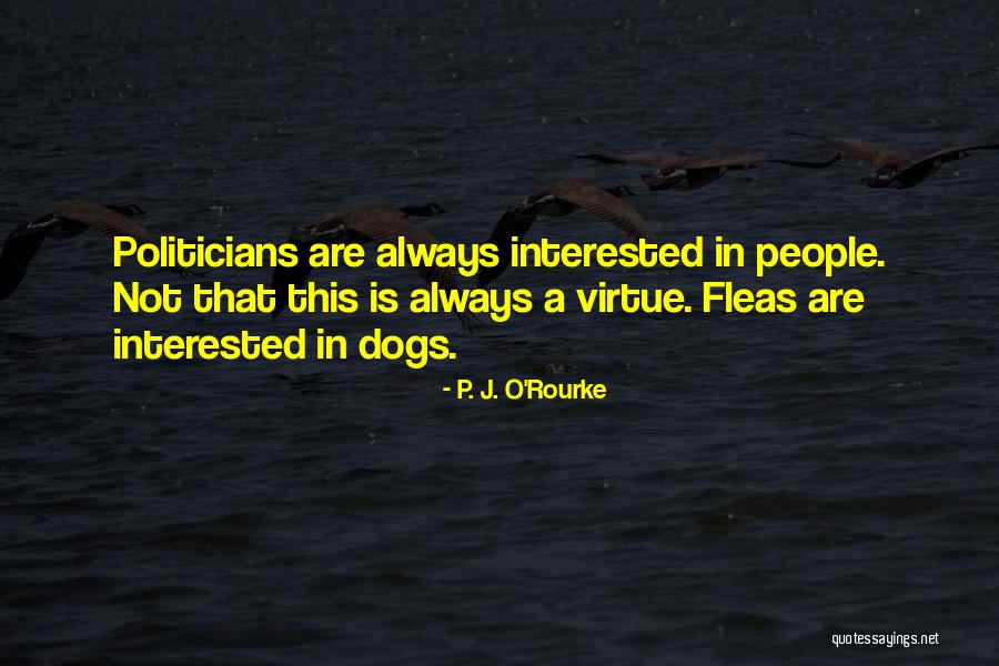 Dogs Are Always There For You Quotes By P. J. O'Rourke