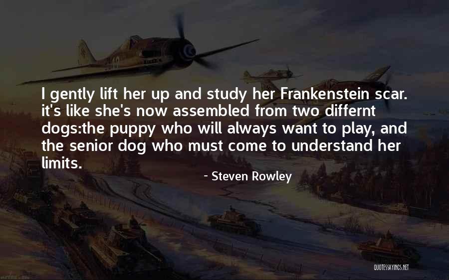 Dogs Are Always There For You Quotes By Steven Rowley