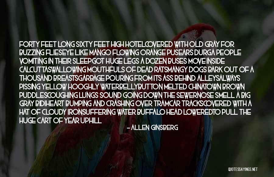 Dogs Bark Quotes By Allen Ginsberg