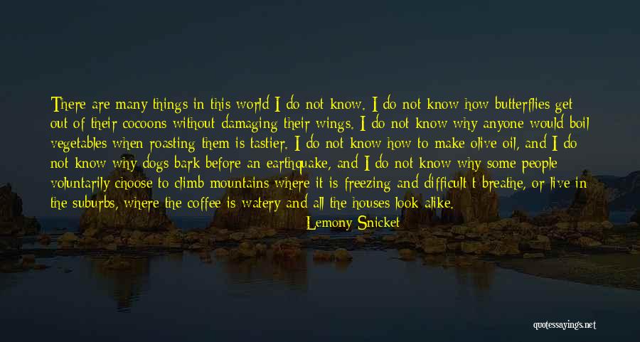 Dogs Bark Quotes By Lemony Snicket