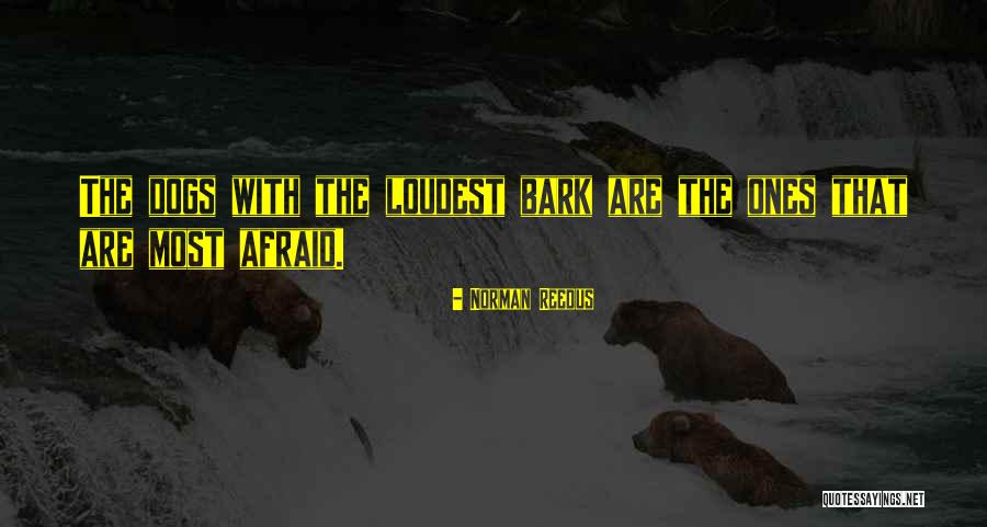 Dogs Bark Quotes By Norman Reedus