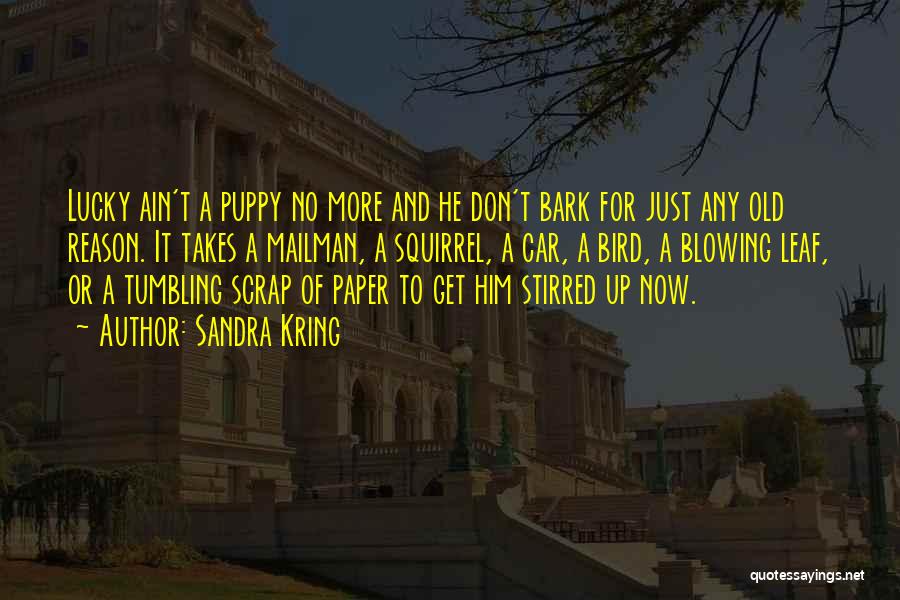 Dogs Bark Quotes By Sandra Kring