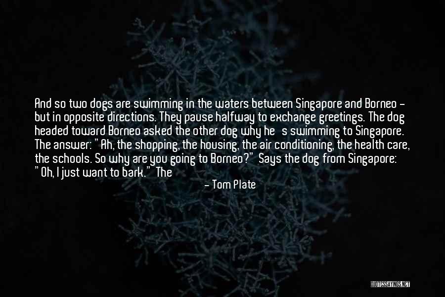 Dogs Bark Quotes By Tom Plate