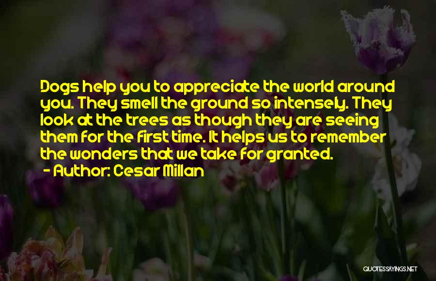 Dogs By Cesar Millan Quotes By Cesar Millan