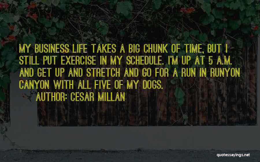 Dogs By Cesar Millan Quotes By Cesar Millan