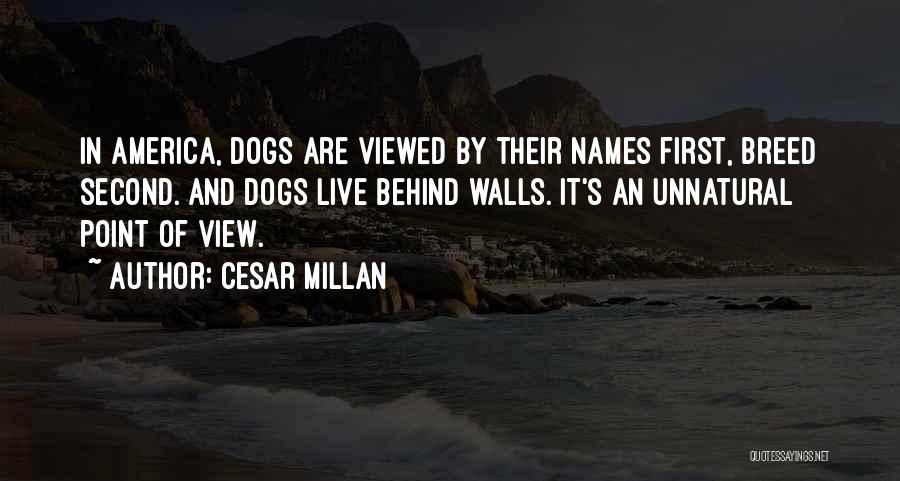 Dogs By Cesar Millan Quotes By Cesar Millan