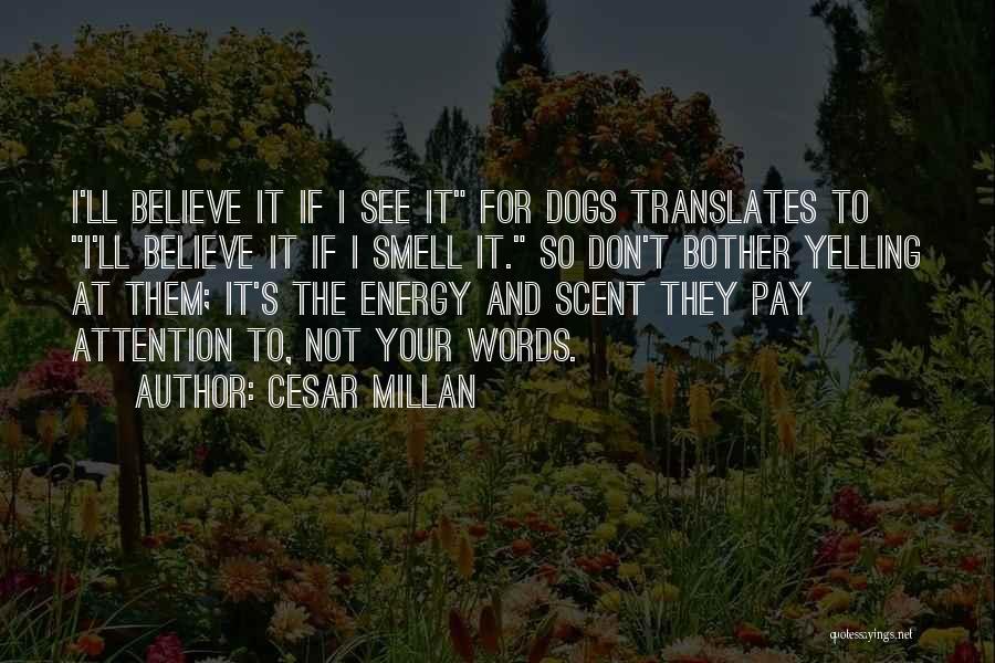 Dogs By Cesar Millan Quotes By Cesar Millan