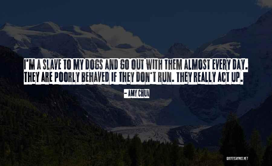 Dogs Day Out Quotes By Amy Chua