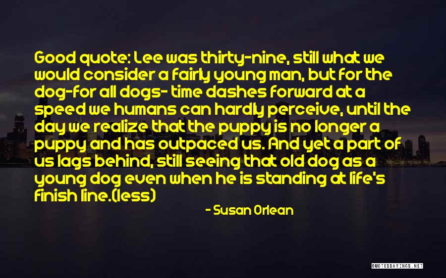 Dogs Day Out Quotes By Susan Orlean Dogs Day Out Quotes By Susan Orlean