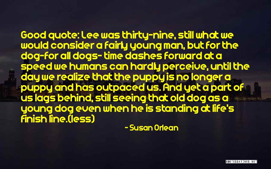 Dogs Day Out Quotes By Susan Orlean