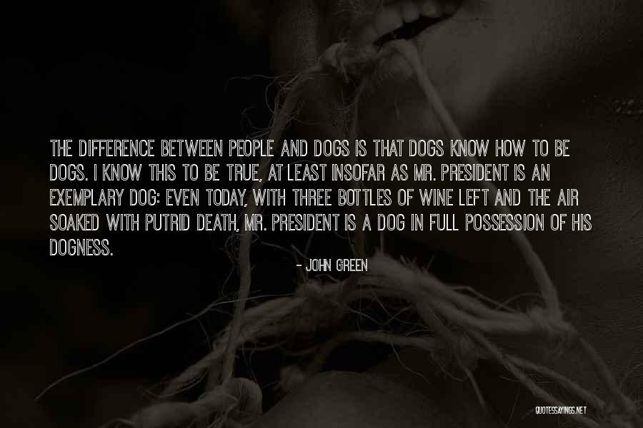 Dogs Death Quotes By John Green Dogs Death Quotes By John Green