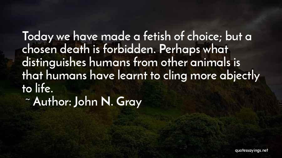 Dogs Dying Quotes By John N. Gray